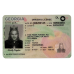 Georgia Fake IDs (2025 version)