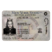 New York Fake IDs (2025 Version)