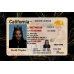 California Fake IDs