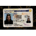 Connecticut Fake IDs