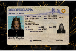 Michigan Fake IDs