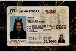 Minnesota Fake IDs
