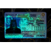 Massachusetts Fake IDs