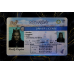 Nevada Fake Dirvers Licence