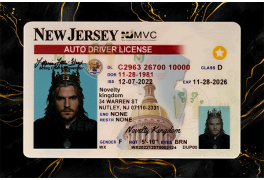 New Jersey Fake Dirvers Licence