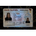 South Carolina Fake IDs