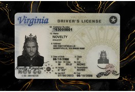 Virginia Fake Dirvers Licence